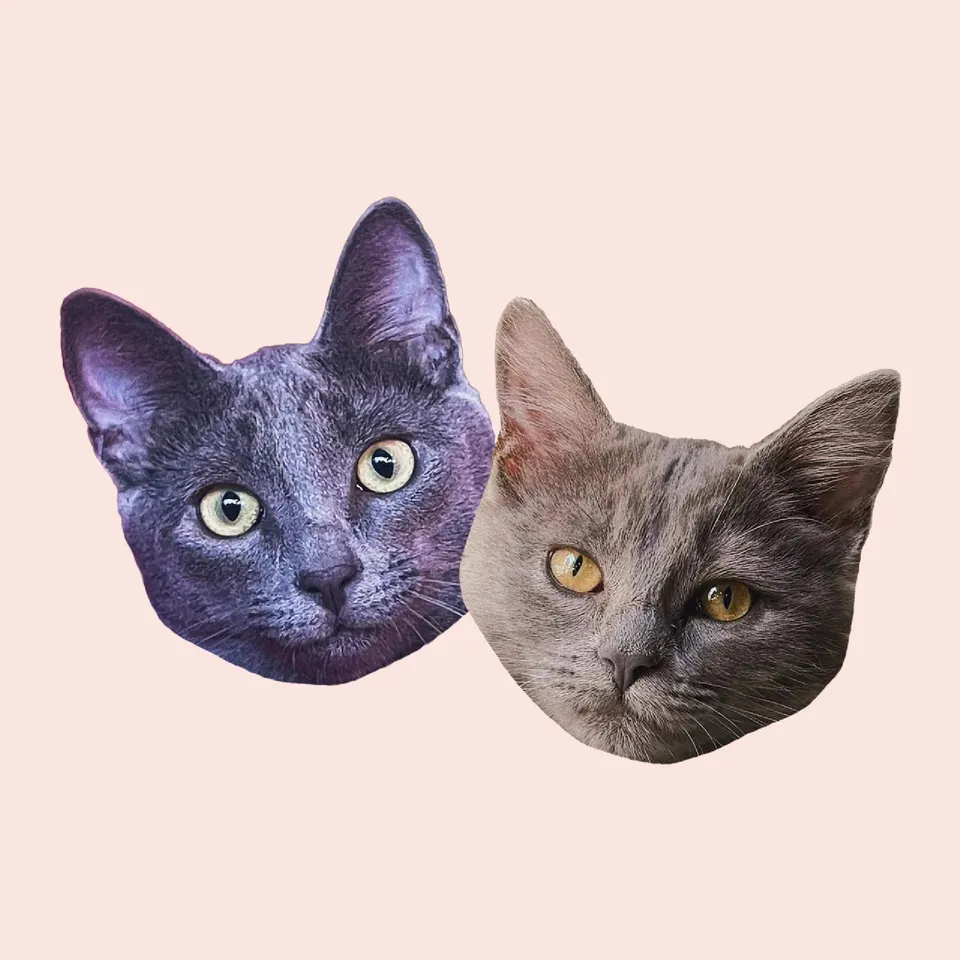 Two cut-outs of cat heads. The one on the left, Alphonse, is a grey domestic short-hair cat with green eyes. The one on the right, Impa, is a grey domestic medium-hair kitten with hazel eyes.