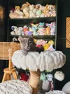 A grey kitten sitting on top of a fuzzy cat tree in front of a shelf filled with plushies and stuffed animals.