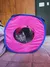 A grey kitten sitting inside a bright pink foldable cube on carpet.
