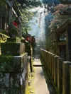 A narrow walkway through moss-covered stone altars, each with small torii gates and fox statues adorned with red bibs, illuminated by rays of sunlight filtering through the trees.
