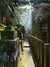 A narrow walkway through moss-covered stone altars, each with small torii gates and fox statues adorned with red bibs, illuminated by rays of sunlight filtering through the trees.