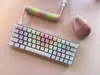 My pastel-themed custom mechanical keyboard and Logitech Lift Mouse