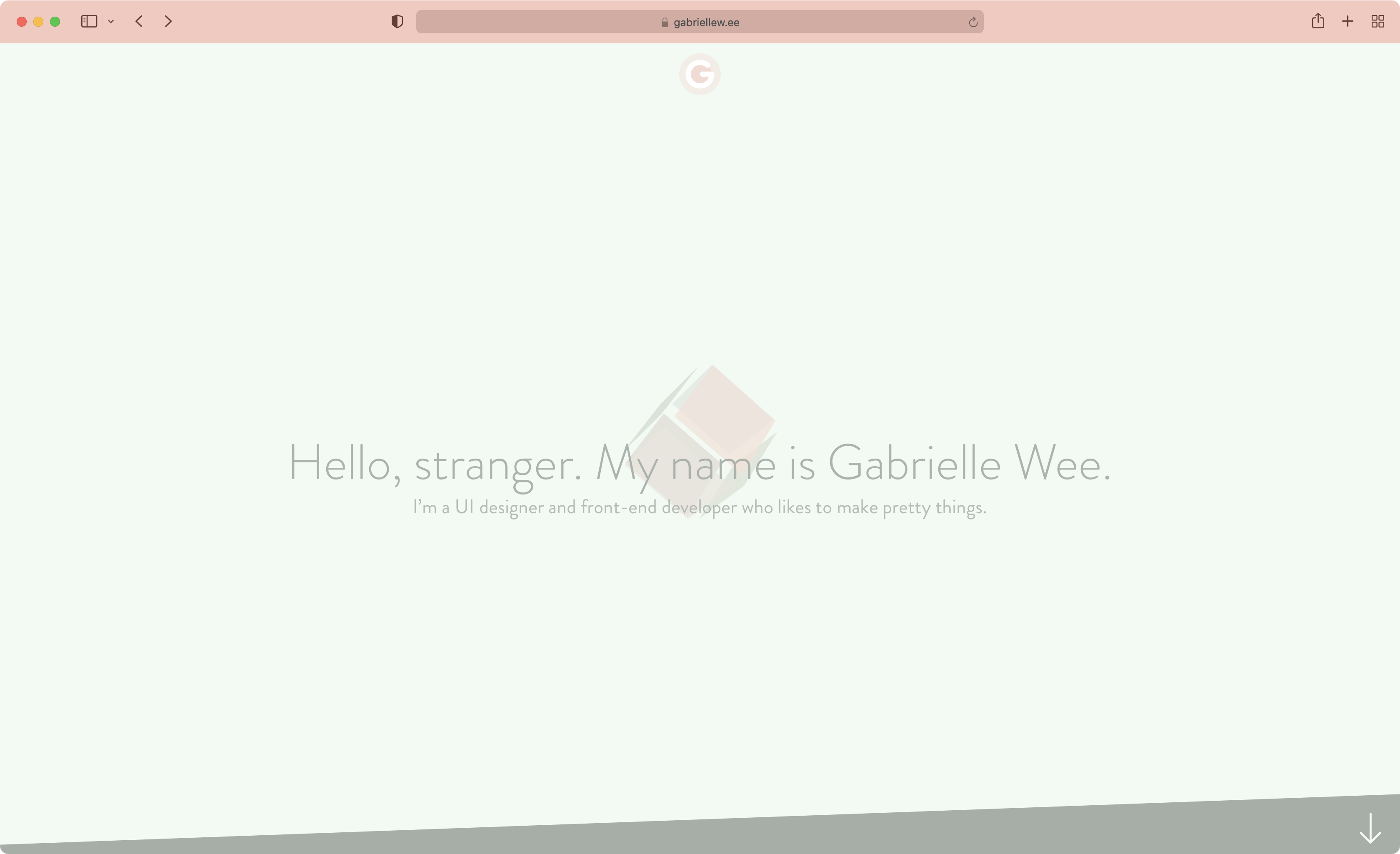 Previous website home page