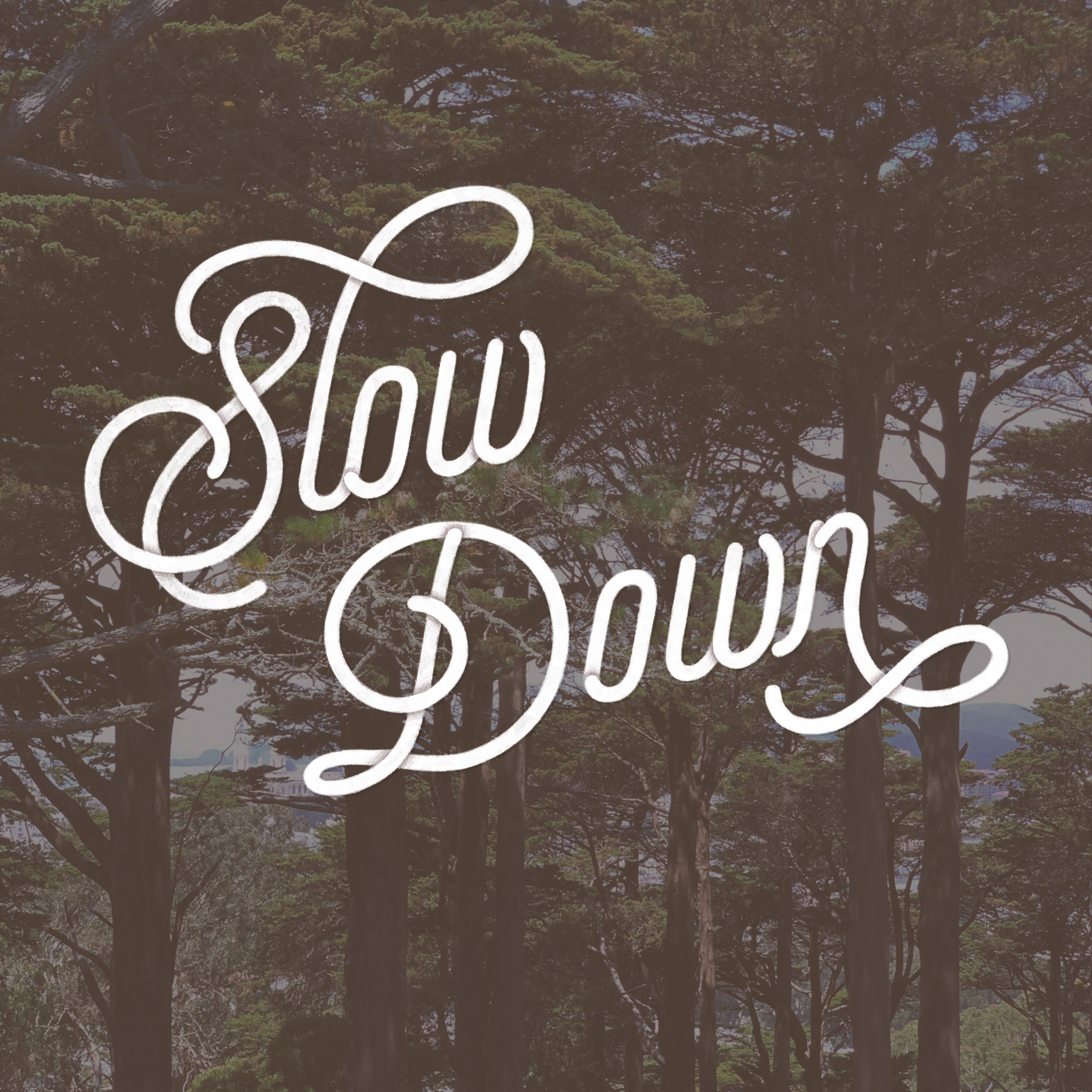 White cursive text that reads “Slow Down” over a faded photograph of trees.