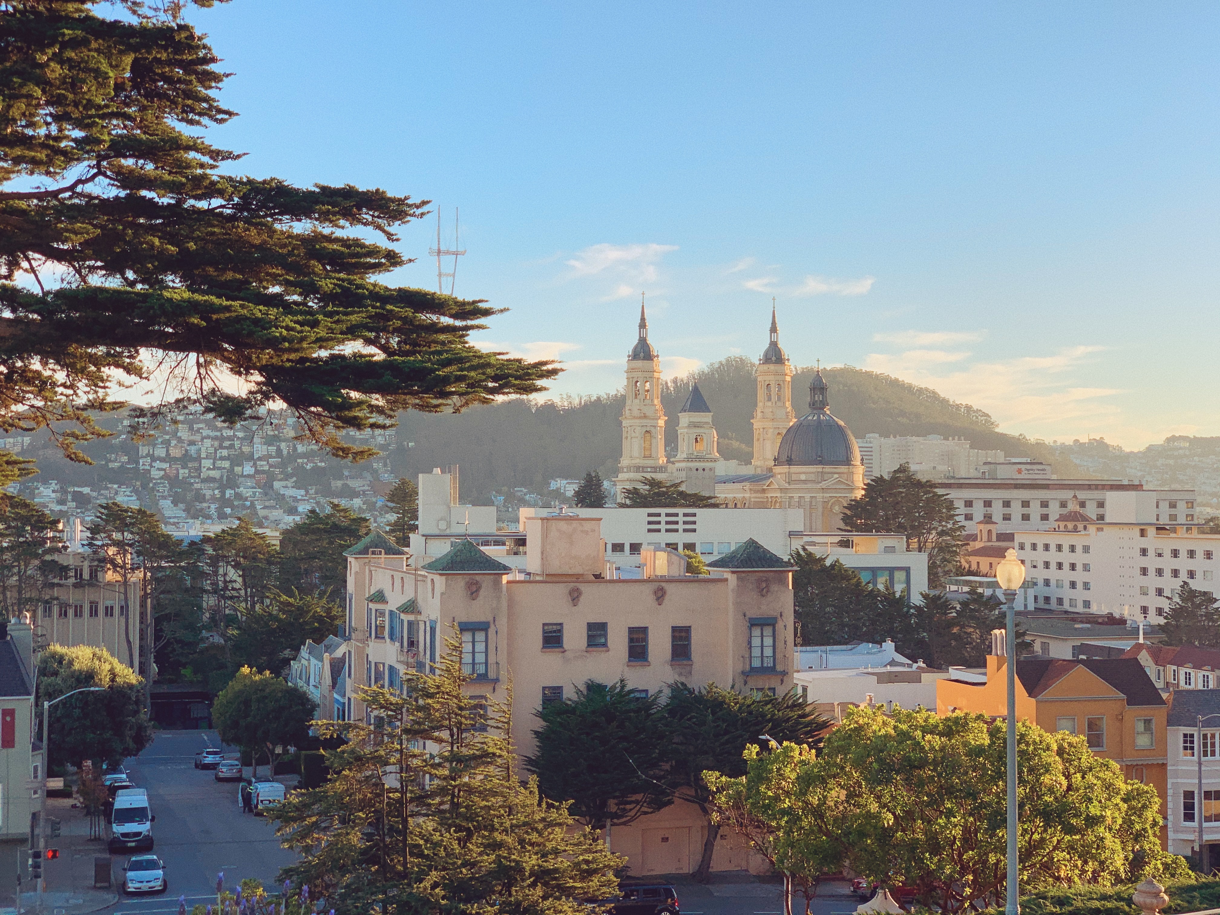 San Francisco at golden hour from the top of Lone Mountain.