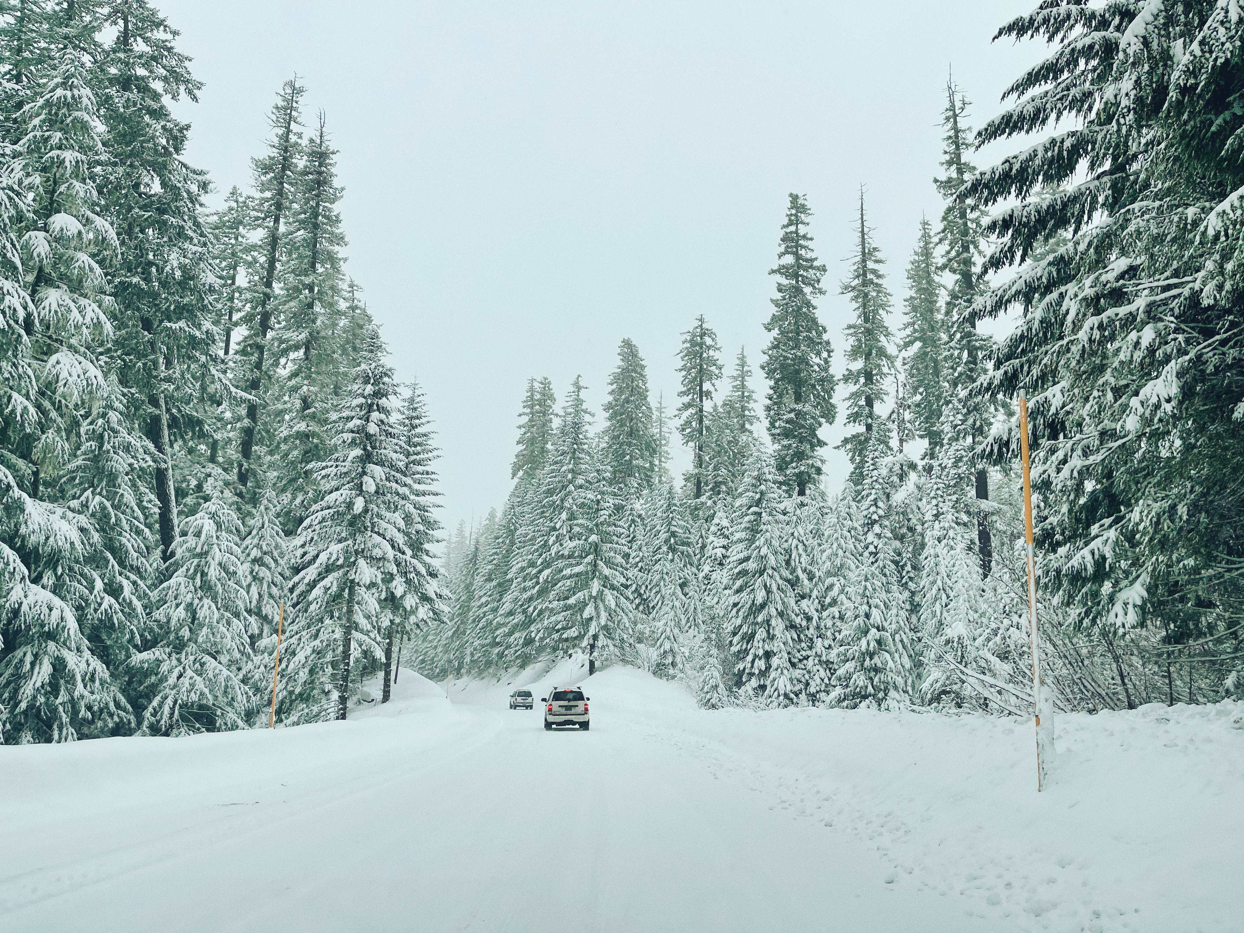 A snow-covered road in Willamette National Forest in Oregon.