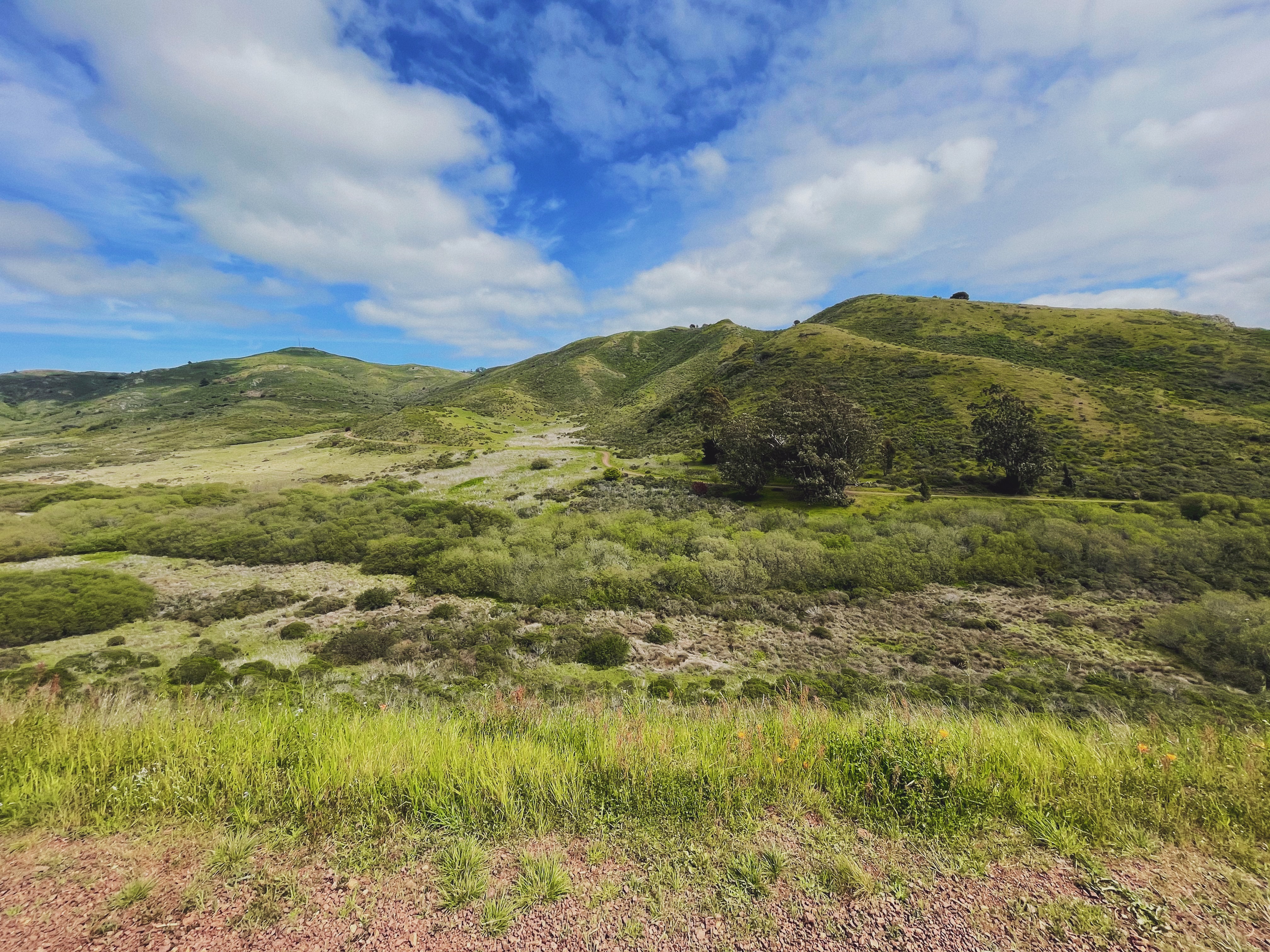Hills in the Marin Headlands in Sausalito, California.