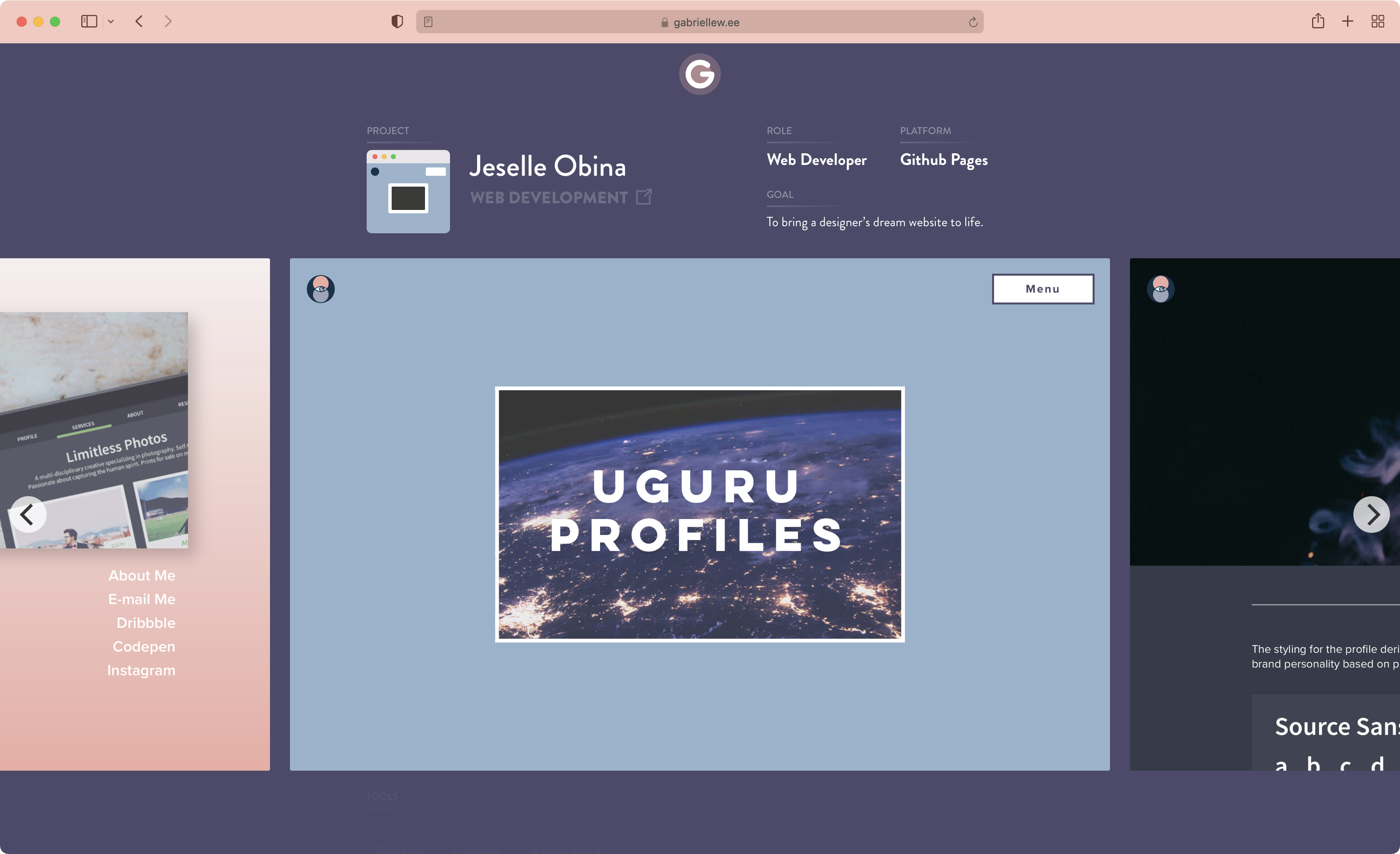 Previous website project page information