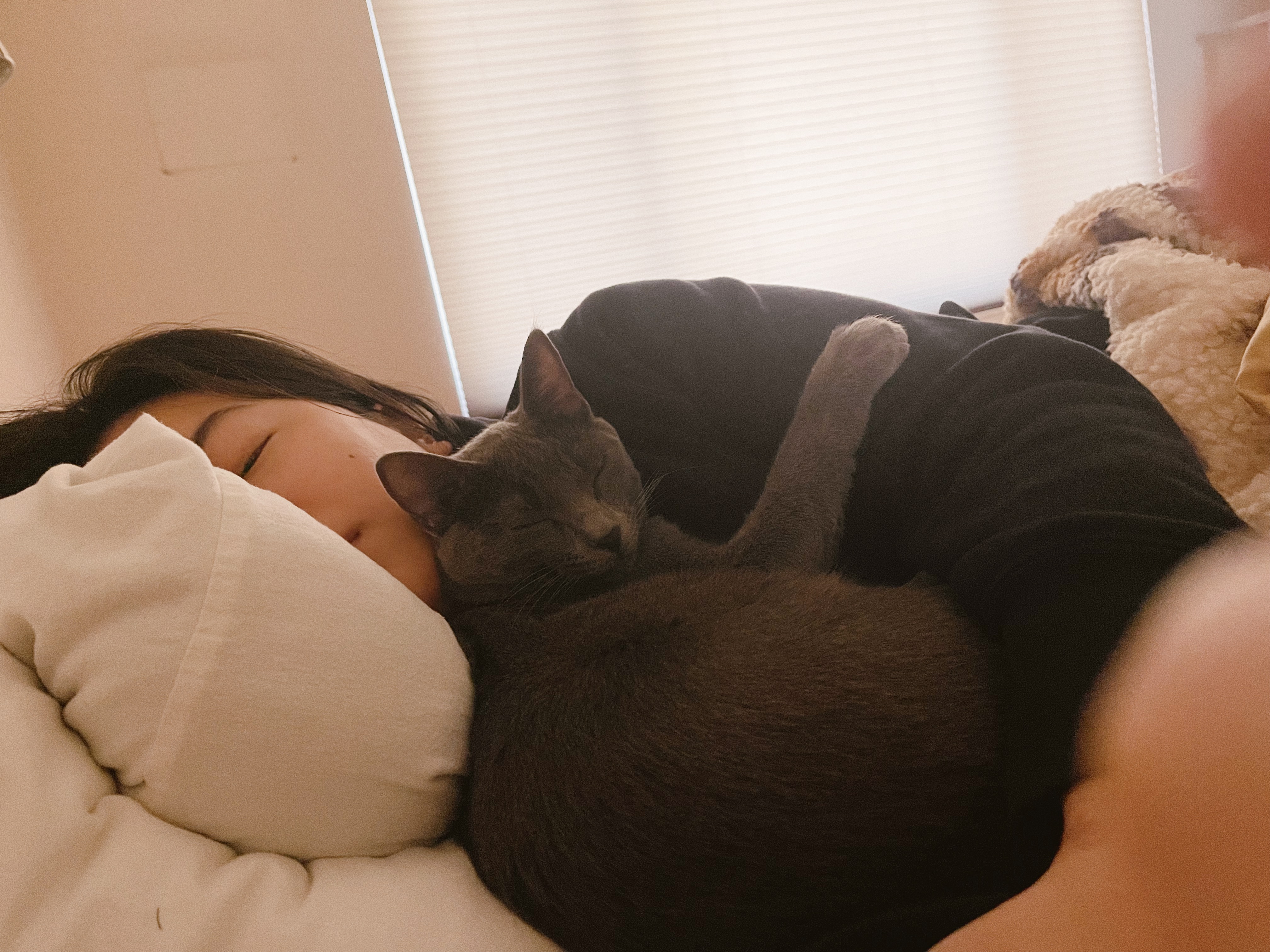 My cat cuddling me one morning while I was sick in bed