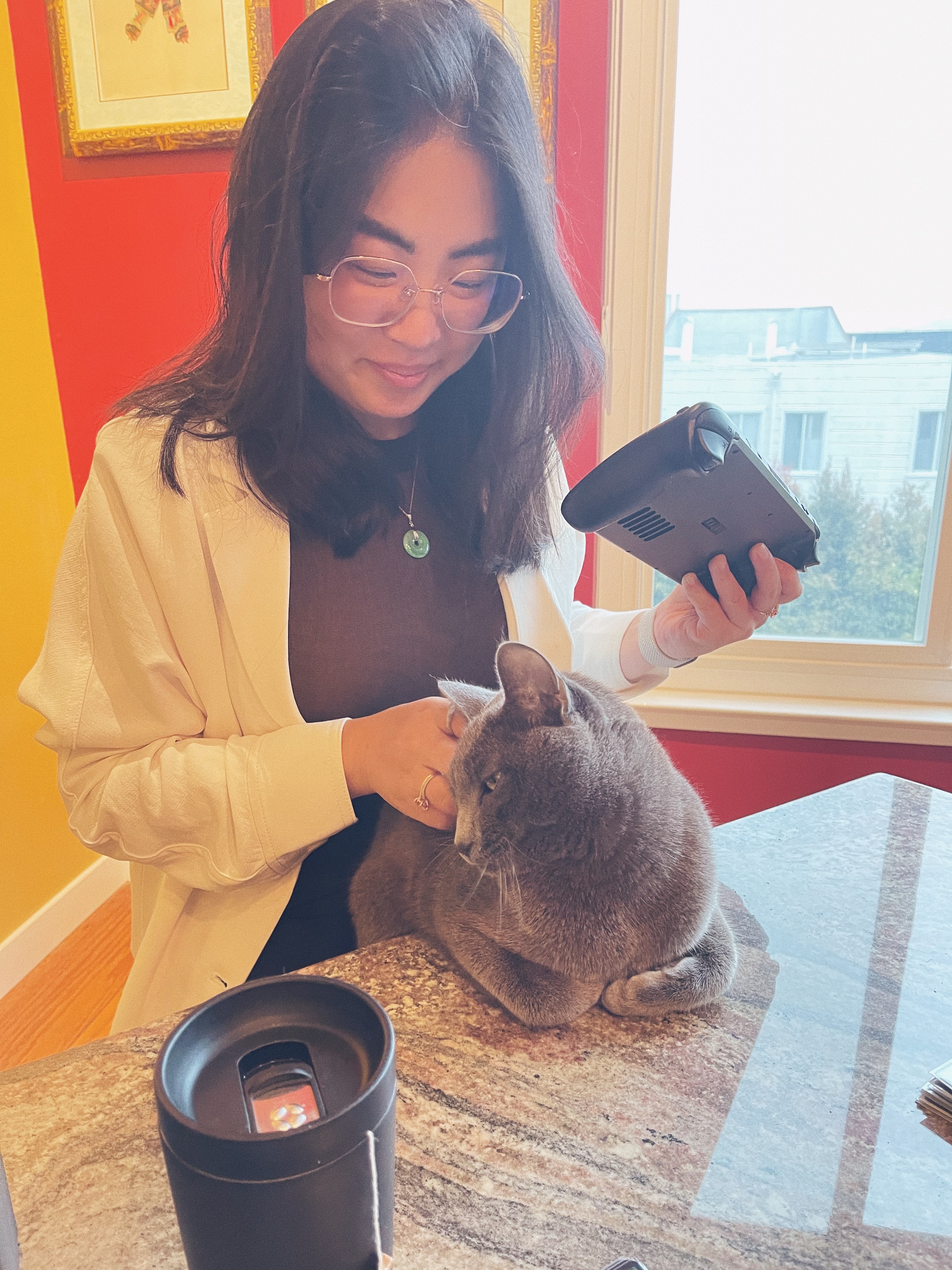 Playing my Steam Deck at Game Night with my cat