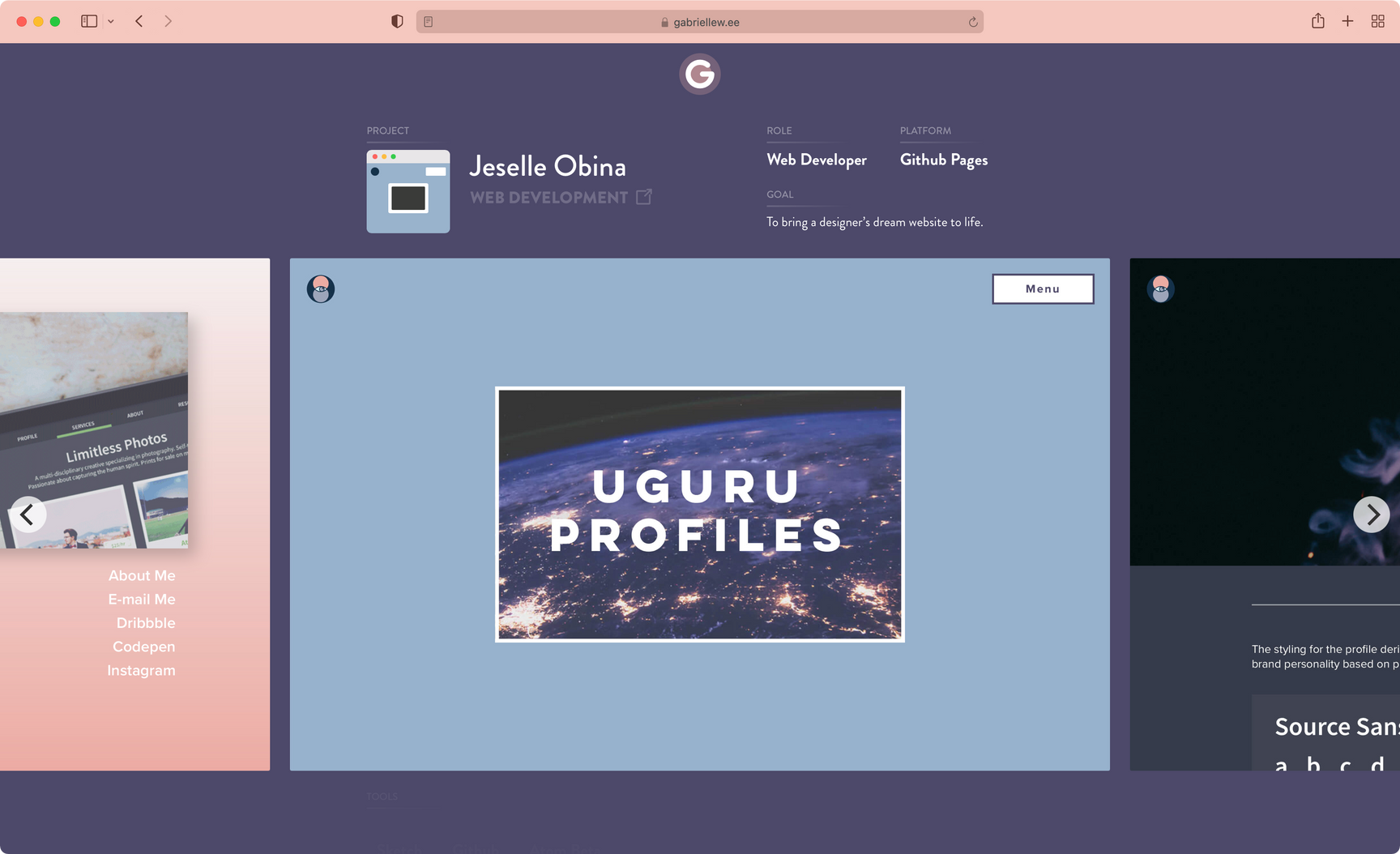 Previous website project page information