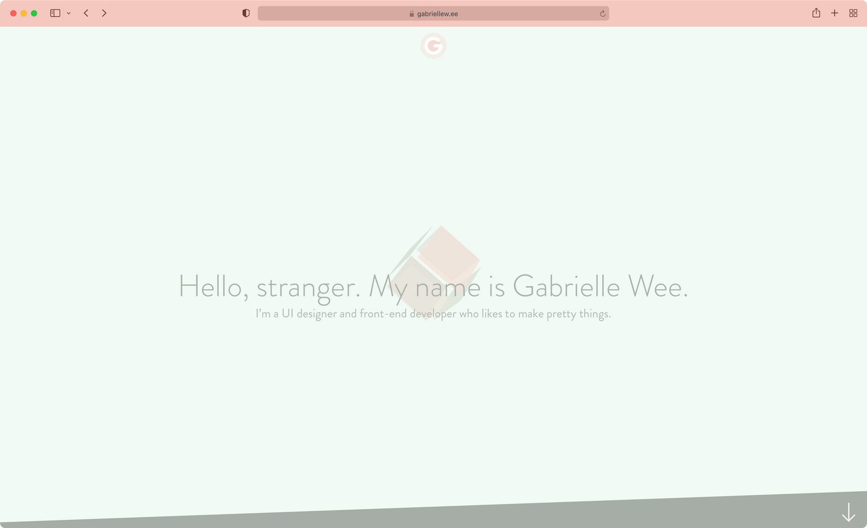 Previous website home page